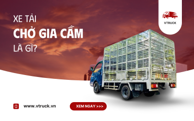 Xe Tải Chở Gia Cầm – Giải Pháp Vận Chuyển Hiệu Quả, An Toàn Và Đúng Chuẩn